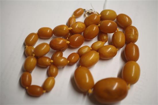 A single strand graduated oval amber bead necklace, 74cm.